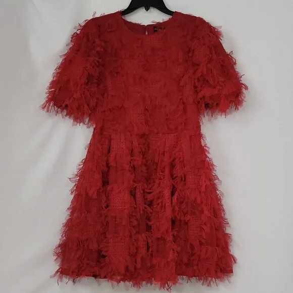 Endless Rose Texture Mesh  Overlay Mini Dress - Picture 13 of 17